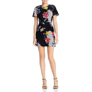 French Connection Wilma Devore Velvet Floral Print